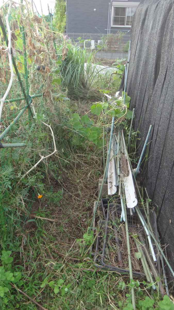 f:id:cafelegume:20190929220249j:plain f:id:cafelegume:20190929220249j:plain