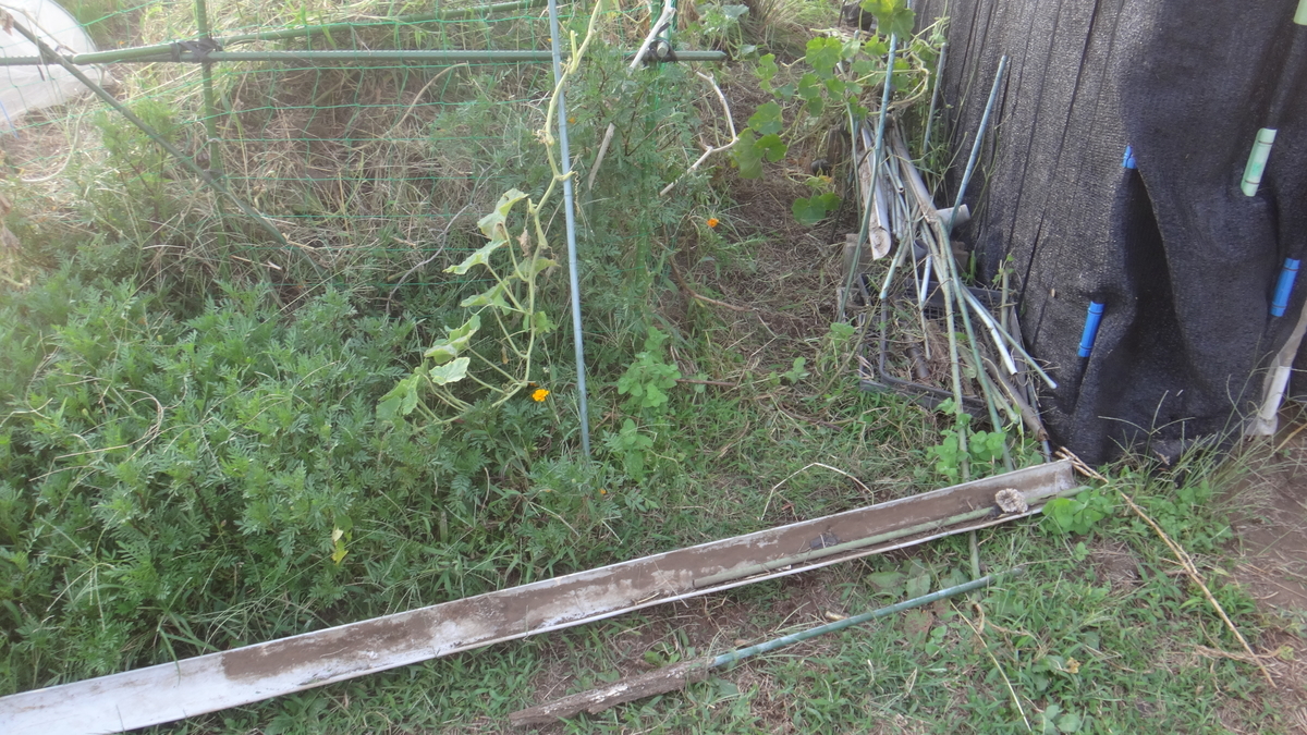 f:id:cafelegume:20190929222348j:plain f:id:cafelegume:20190929222348j:plain