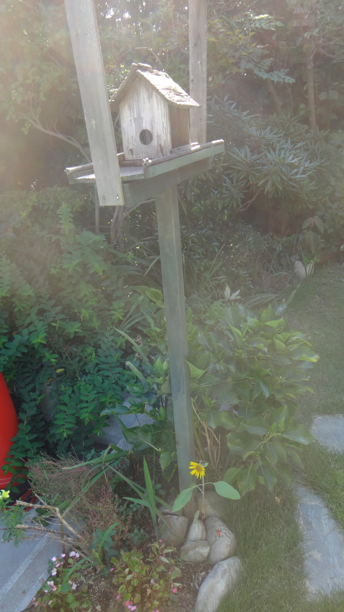 f:id:cafelegume:20191002224554j:plain