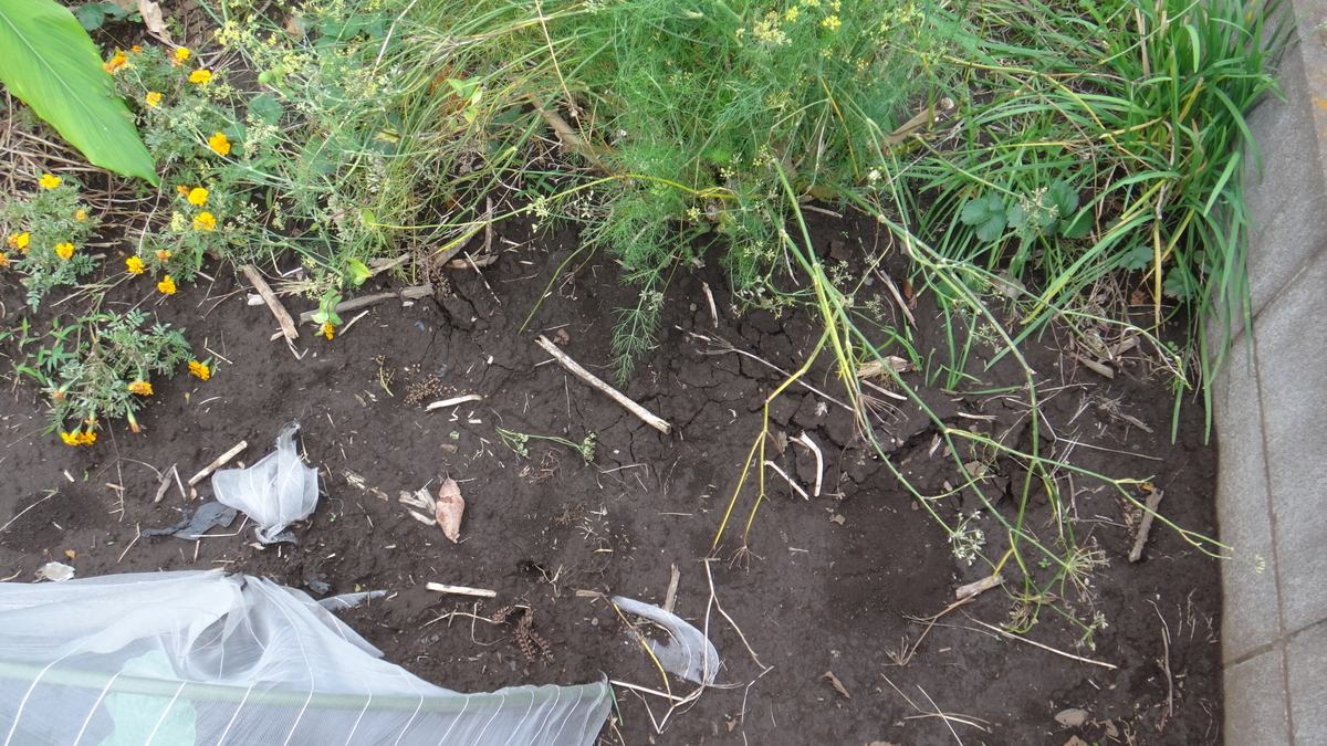 f:id:cafelegume:20191026221648j:plain