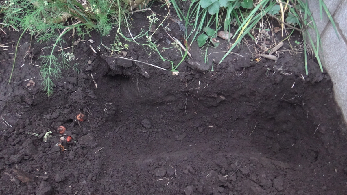 f:id:cafelegume:20191026222024j:plain