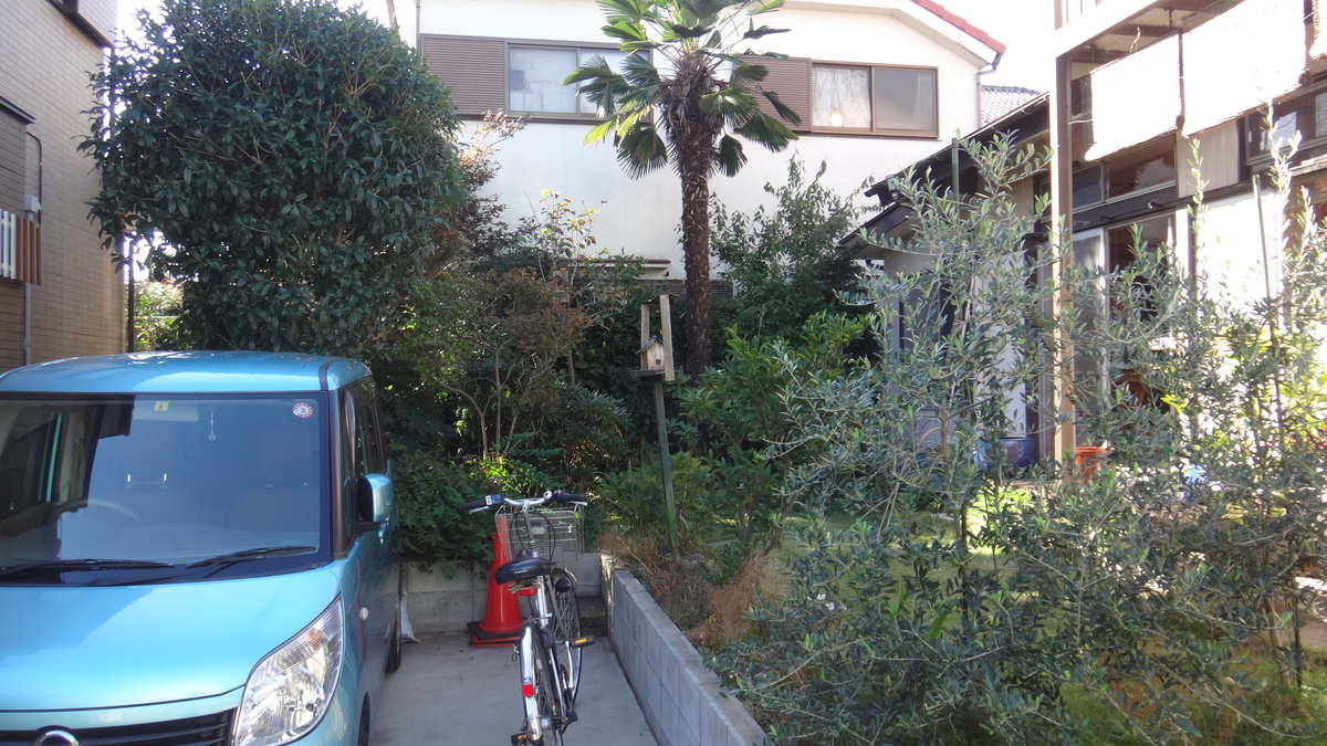 f:id:cafelegume:20191106204940j:plain