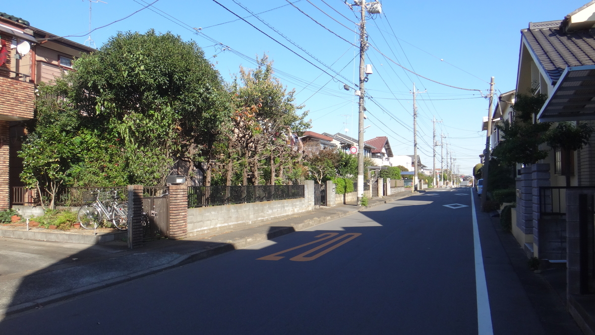 f:id:cafelegume:20191106205641j:plain