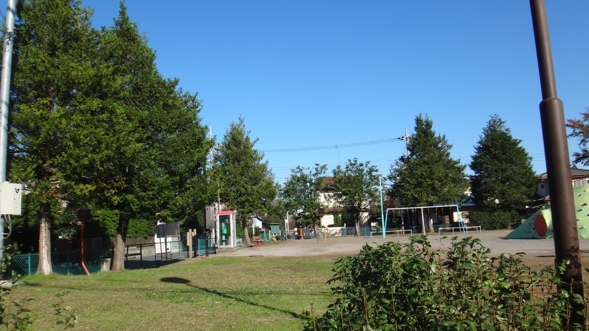 f:id:cafelegume:20191106211233j:plain