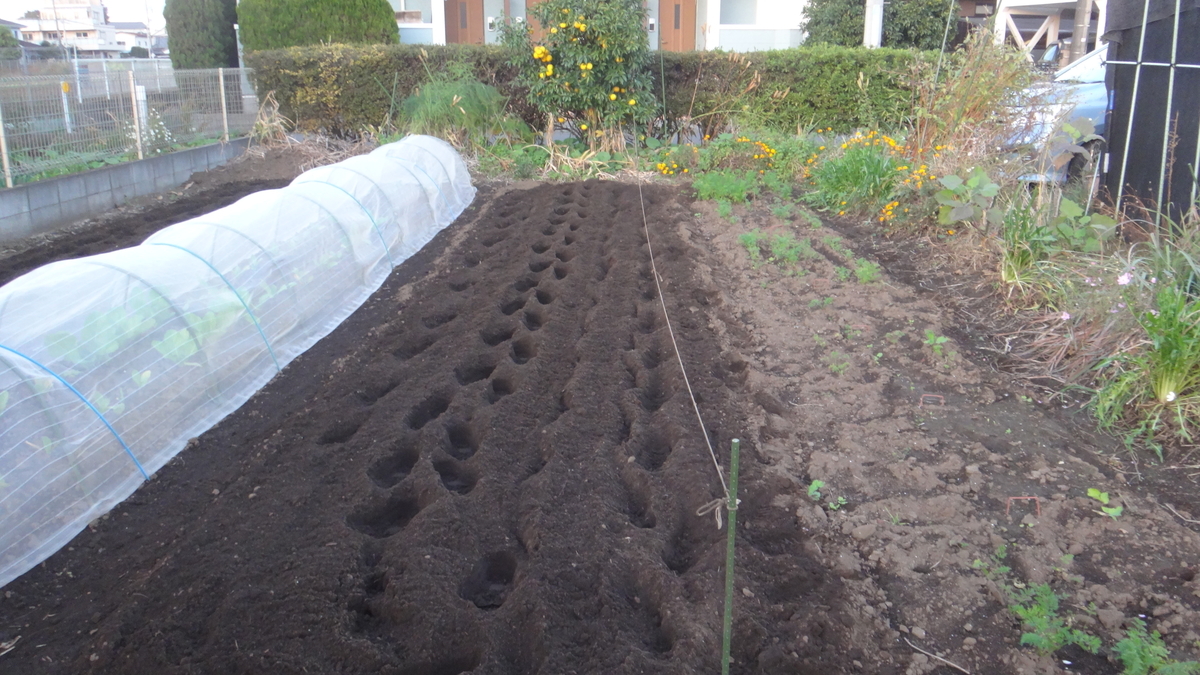 f:id:cafelegume:20191115202035j:plain