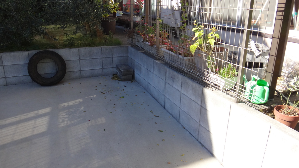 f:id:cafelegume:20191120200310j:plain