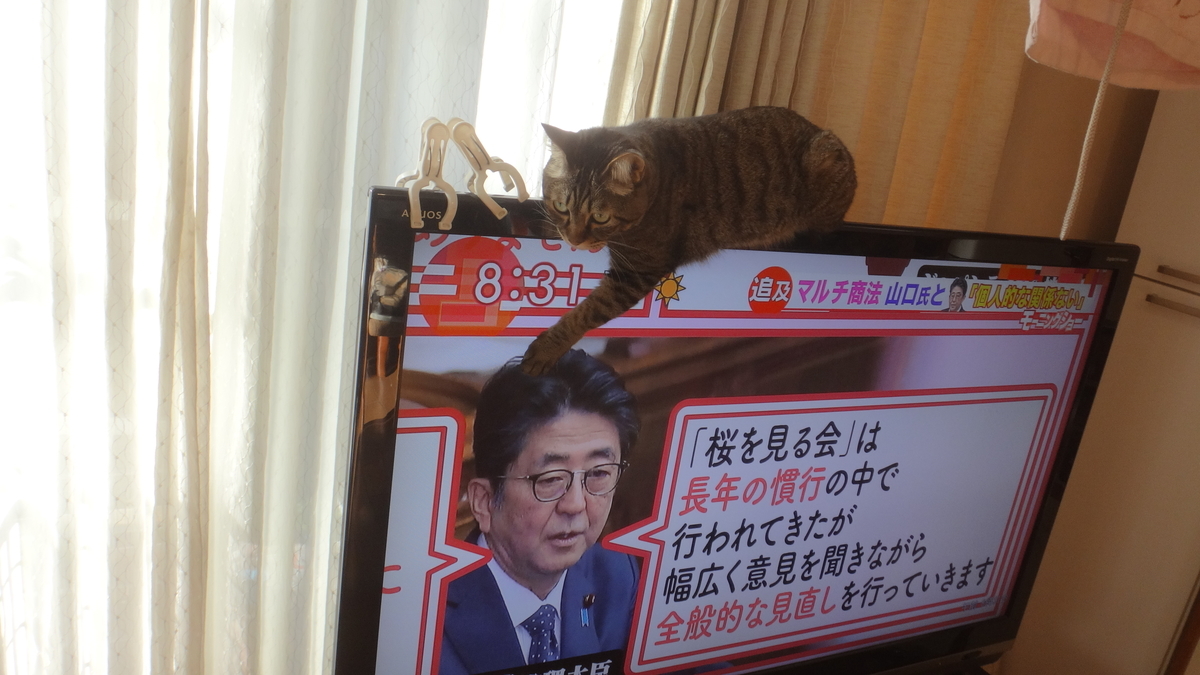 f:id:cafelegume:20191203220458j:plain