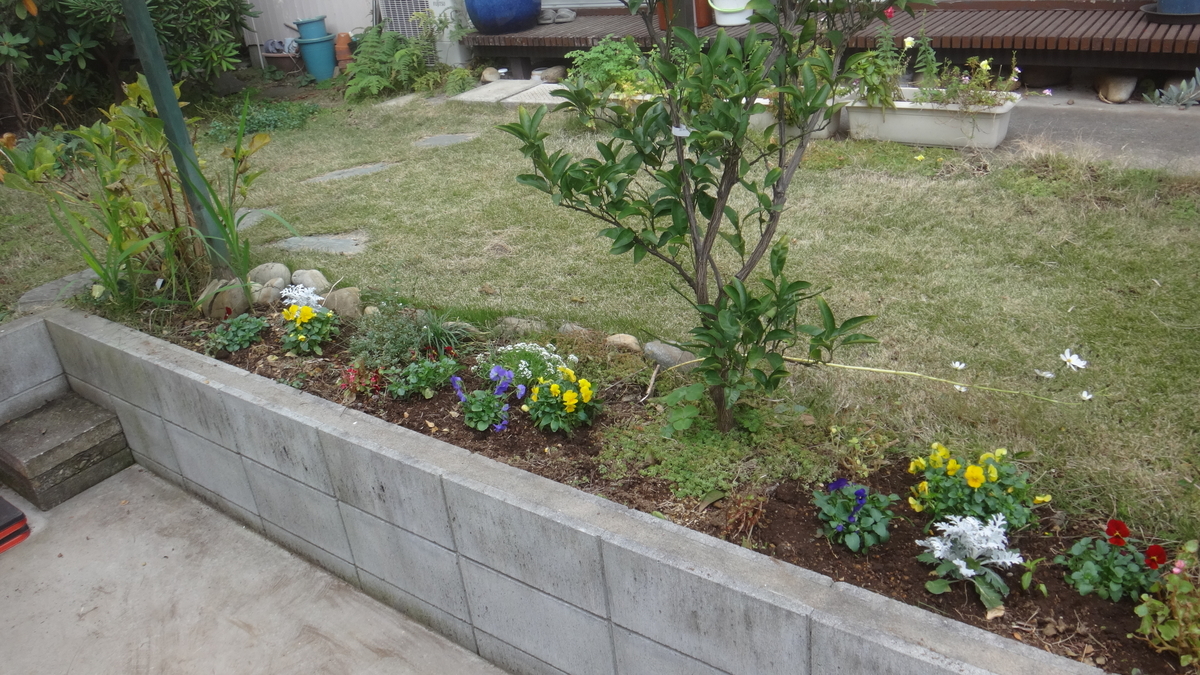 f:id:cafelegume:20191204213549j:plain