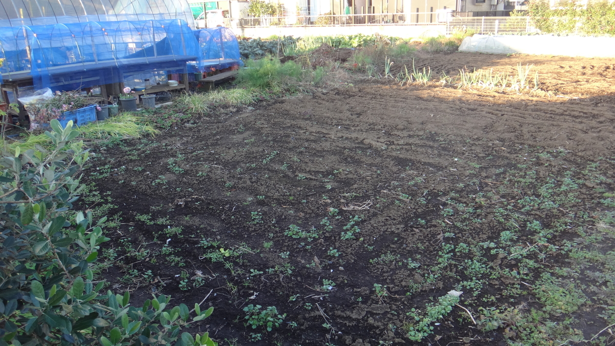 f:id:cafelegume:20191204220647j:plain