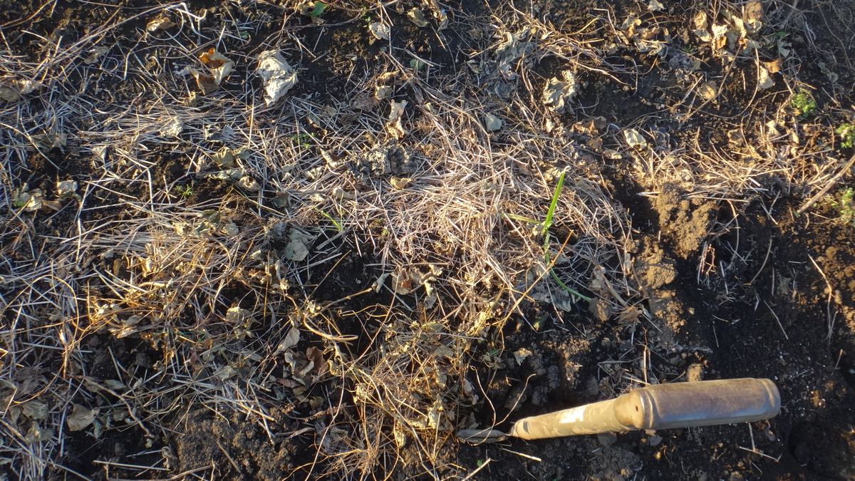 f:id:cafelegume:20191204220829j:plain