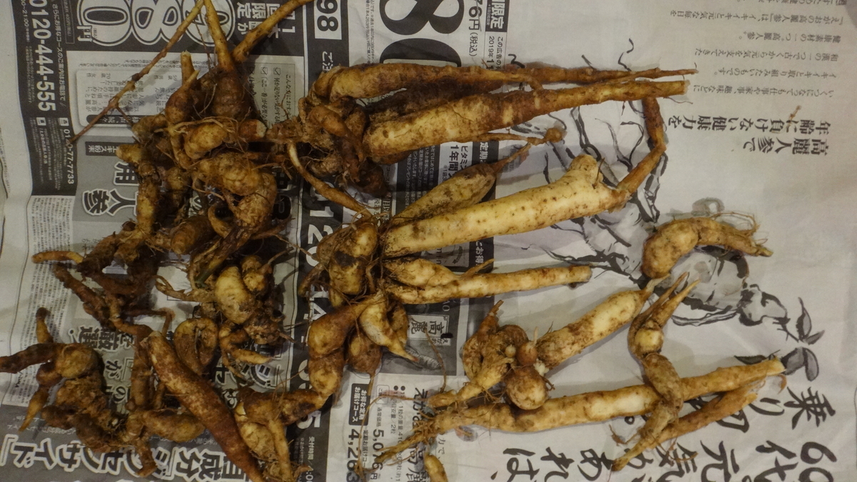 f:id:cafelegume:20191204225556j:plain