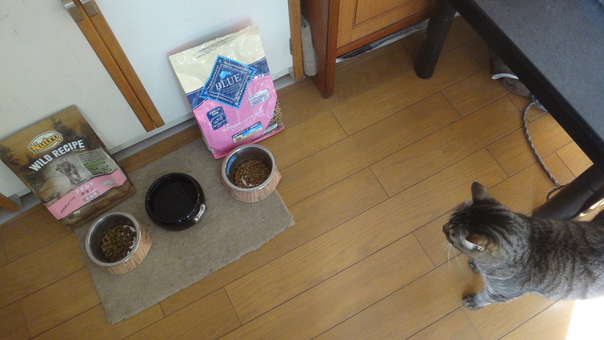 f:id:cafelegume:20191207202525j:plain