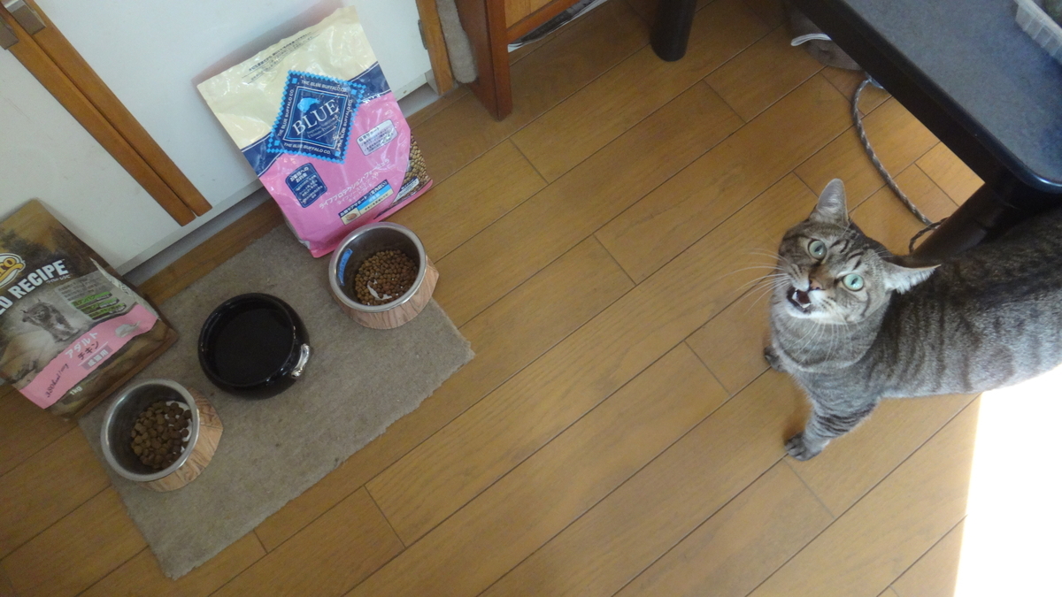 f:id:cafelegume:20191207202713j:plain