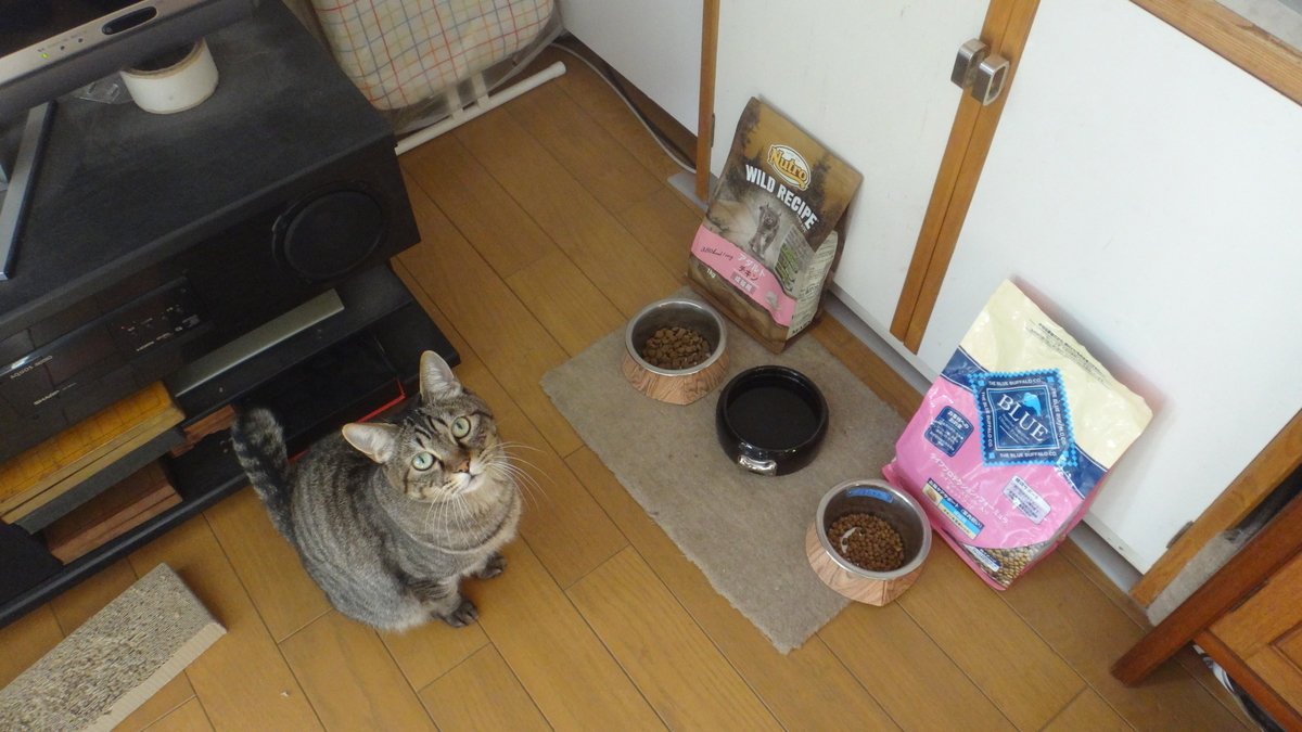 f:id:cafelegume:20191207203025j:plain