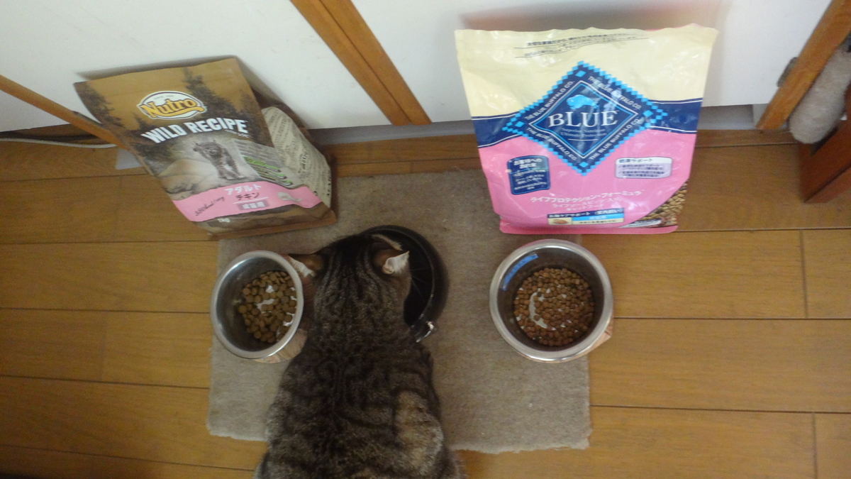 f:id:cafelegume:20191207203211j:plain