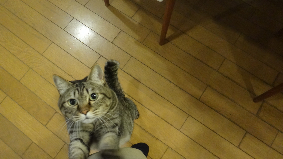 f:id:cafelegume:20191207204302j:plain