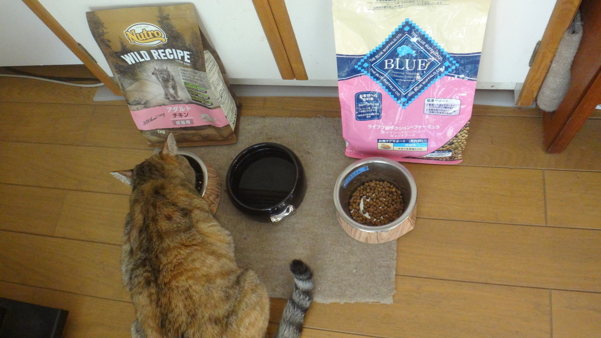 f:id:cafelegume:20191207204503j:plain