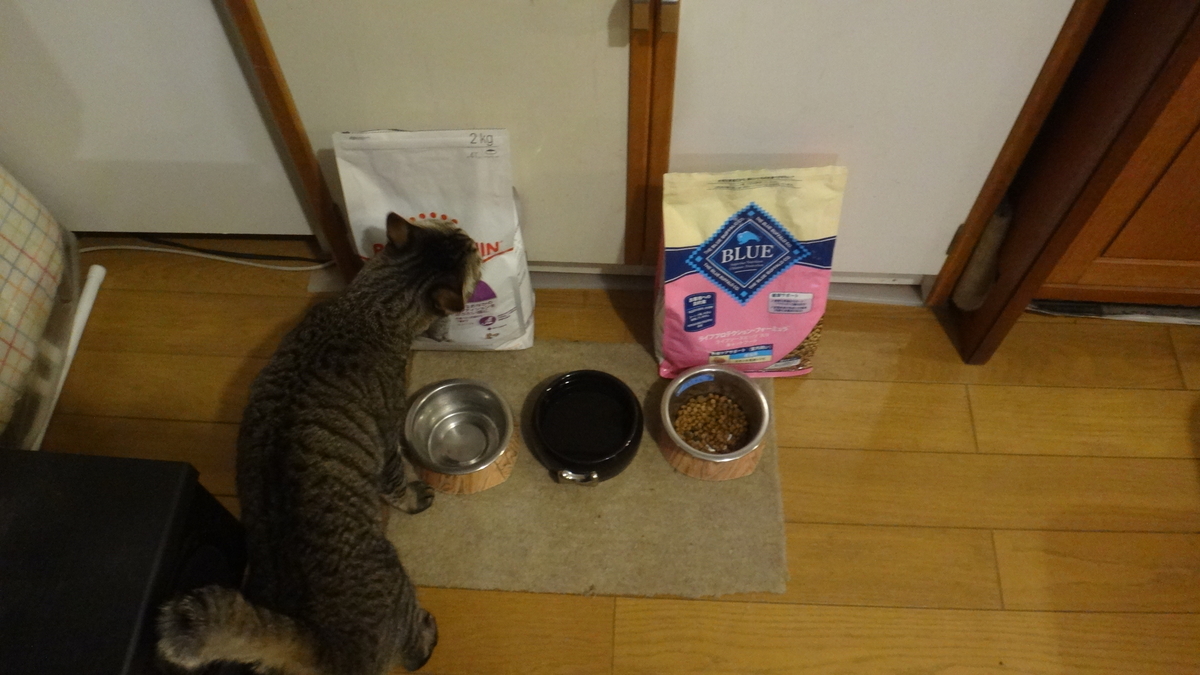 f:id:cafelegume:20191207204943j:plain