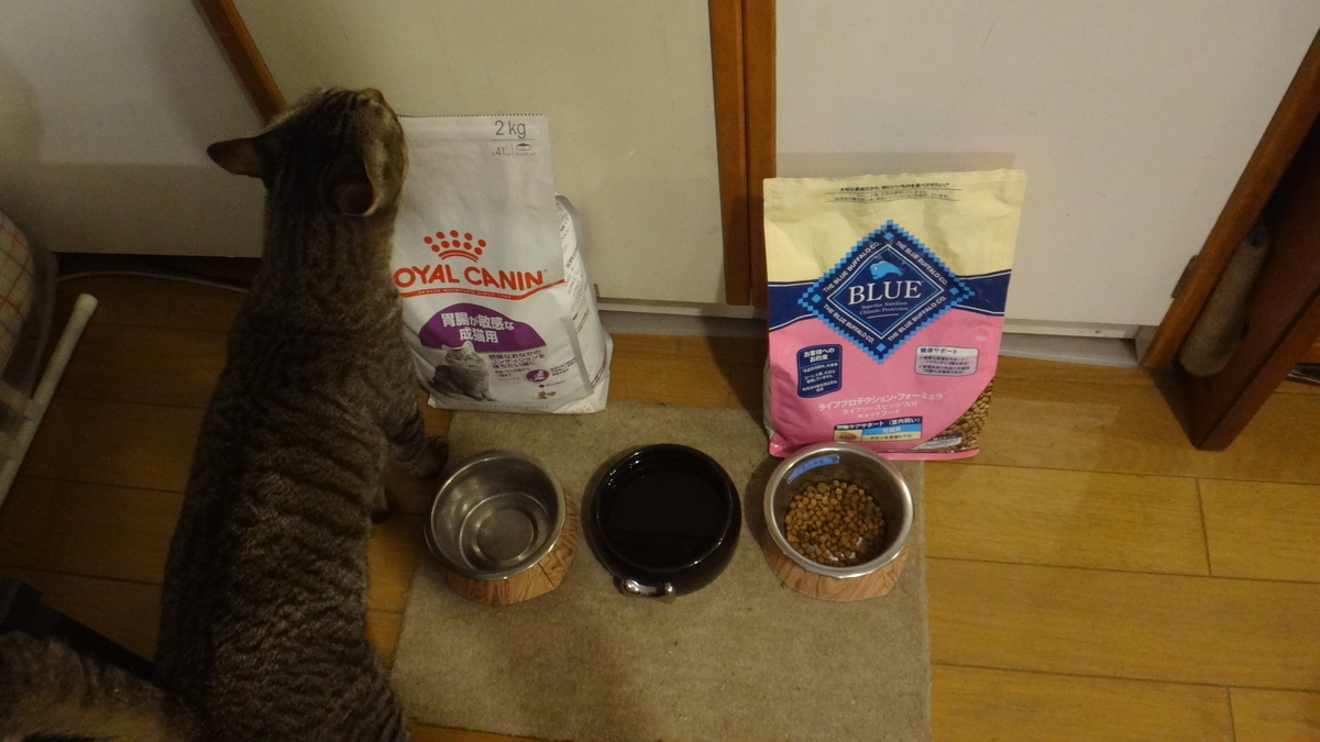 f:id:cafelegume:20191207205215j:plain