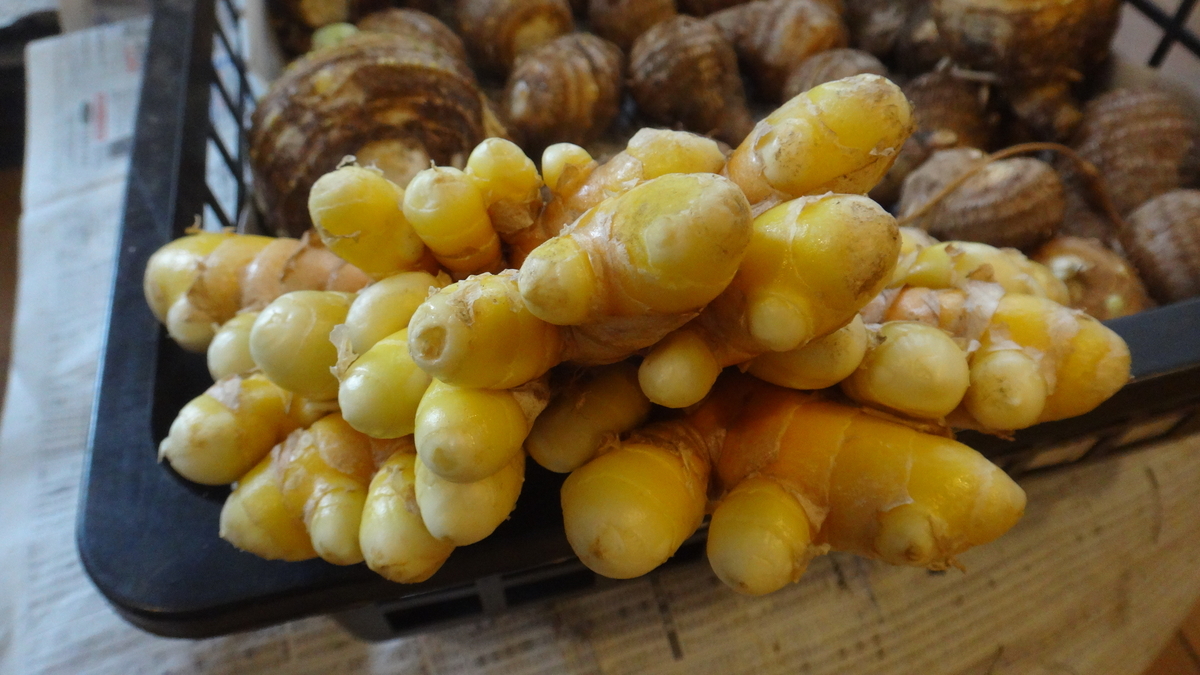 f:id:cafelegume:20191207210650j:plain