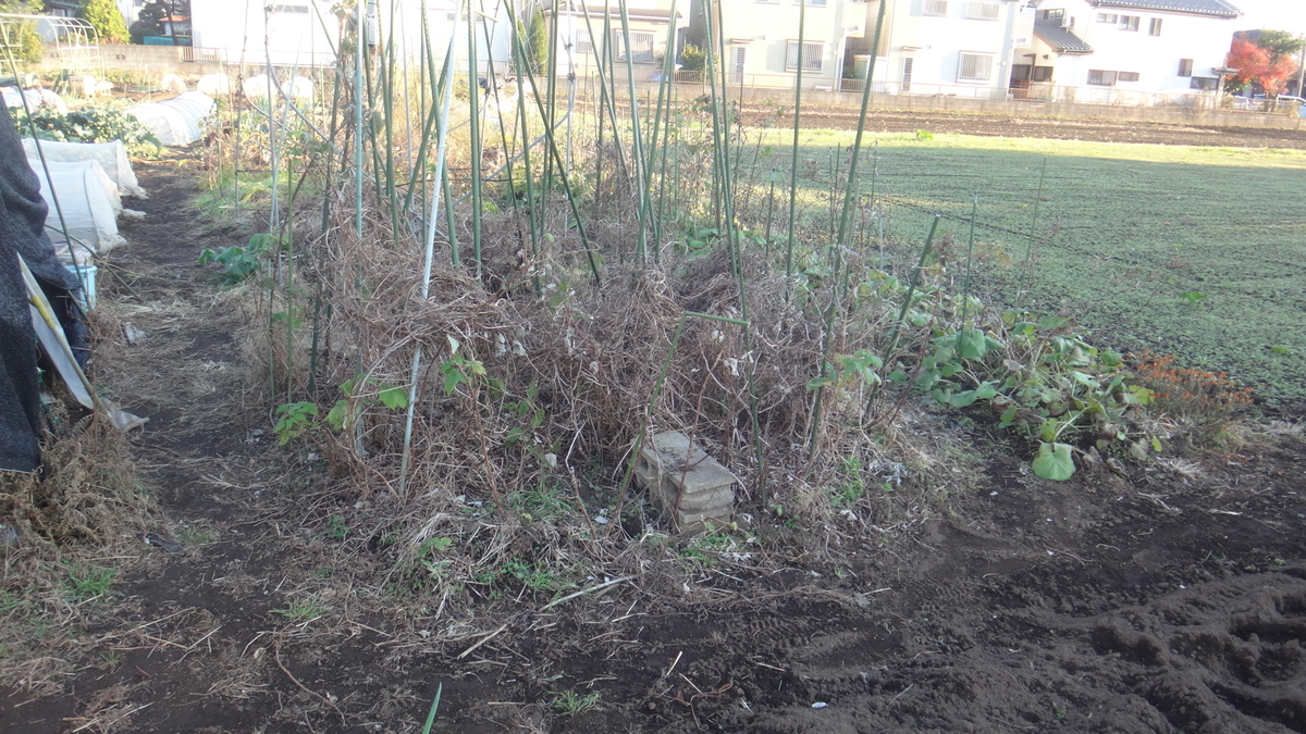 f:id:cafelegume:20191208222400j:plain