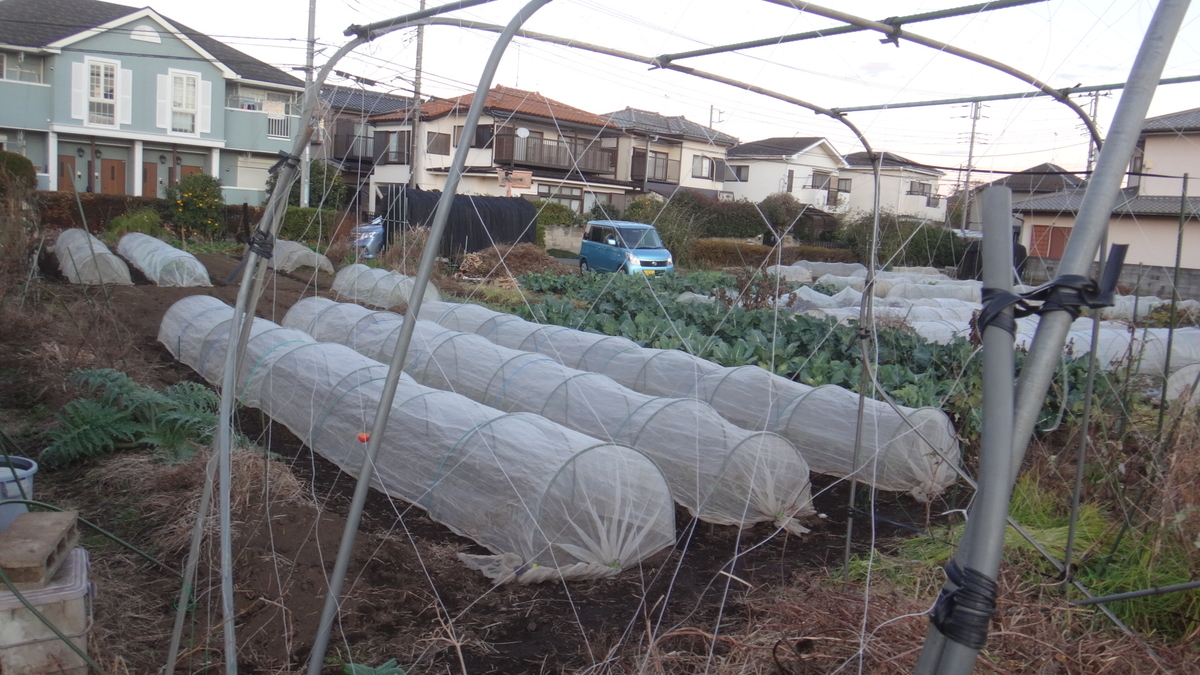 f:id:cafelegume:20191208224602j:plain