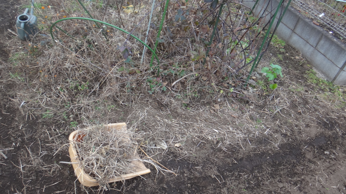 f:id:cafelegume:20191209221134j:plain