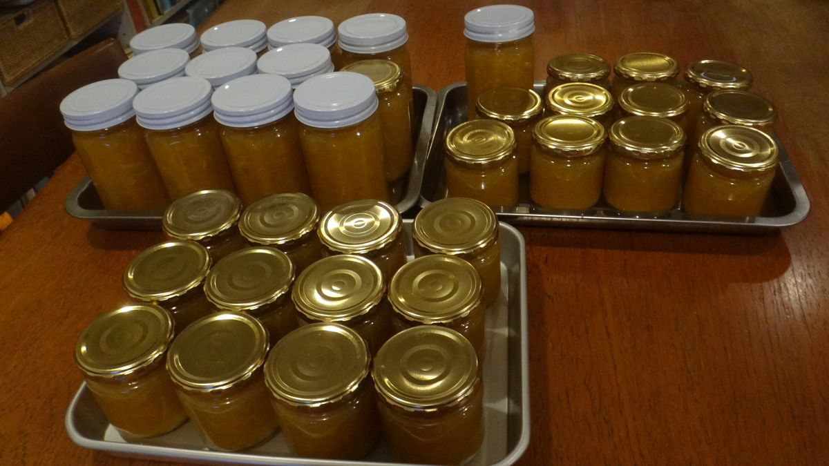 f:id:cafelegume:20200109180326j:plain f:id:cafelegume:20200109180326j:plain