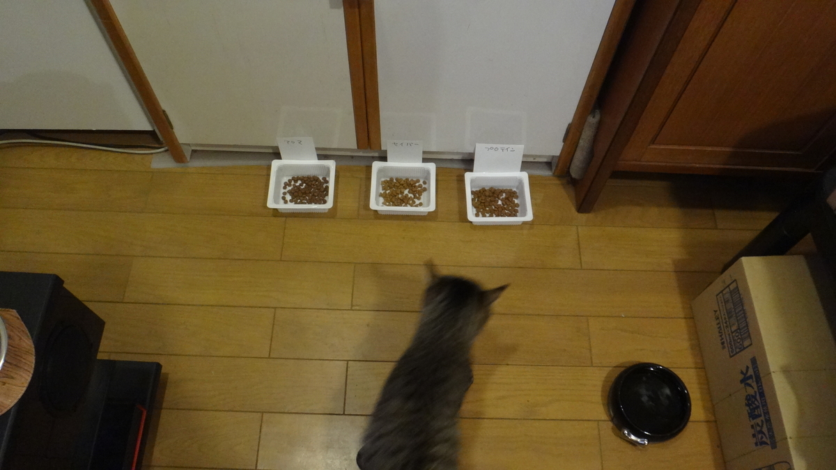 f:id:cafelegume:20200201220707j:plain