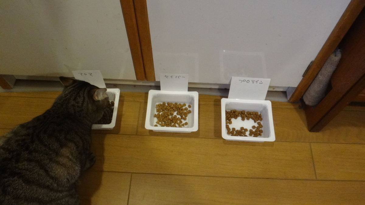 f:id:cafelegume:20200201221345j:plain