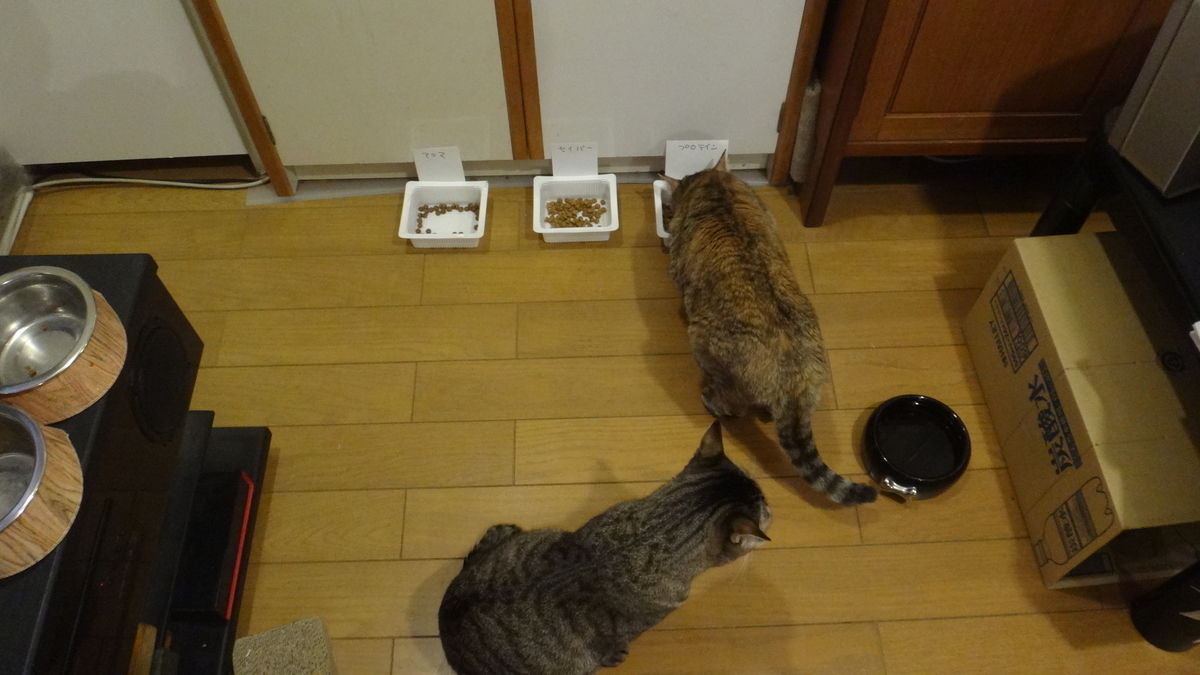 f:id:cafelegume:20200201222929j:plain