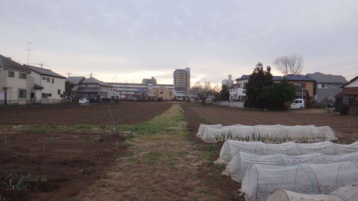 f:id:cafelegume:20200215200933j:plain