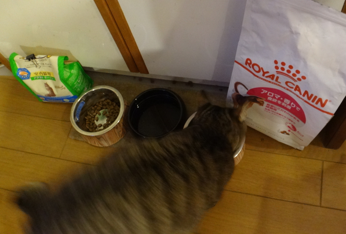 f:id:cafelegume:20200229182851j:plain