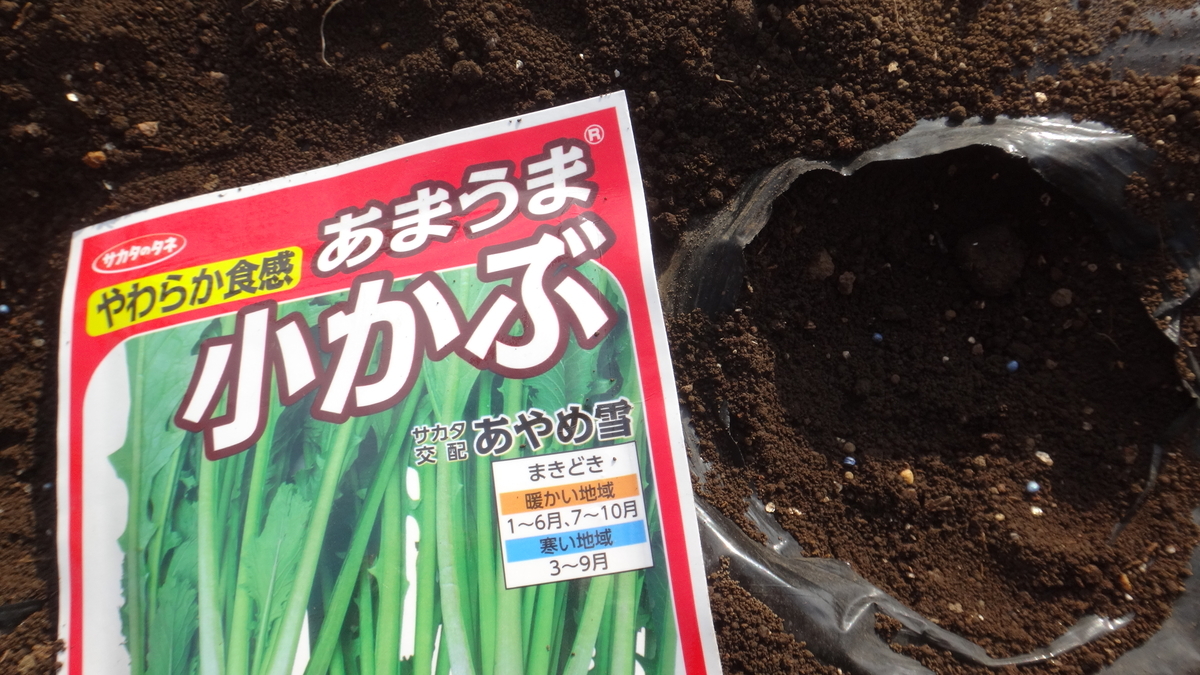 f:id:cafelegume:20200301155127j:plain