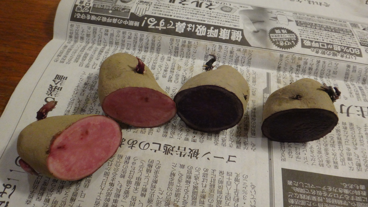 f:id:cafelegume:20200304175302j:plain f:id:cafelegume:20200304175302j:plain