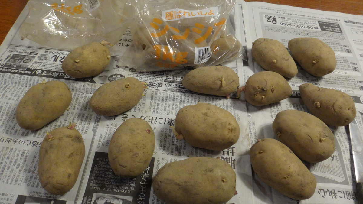 f:id:cafelegume:20200304181101j:plain f:id:cafelegume:20200304181101j:plain