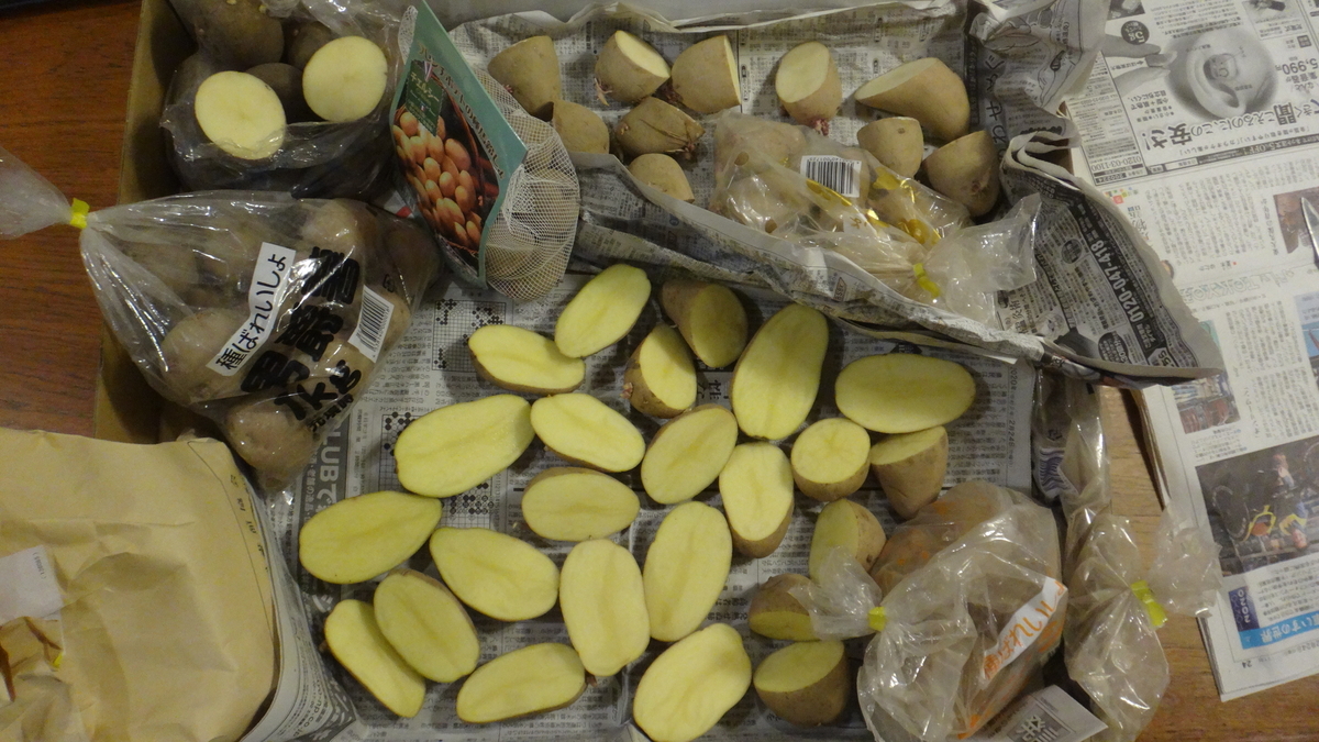 f:id:cafelegume:20200304182855j:plain f:id:cafelegume:20200304182855j:plain