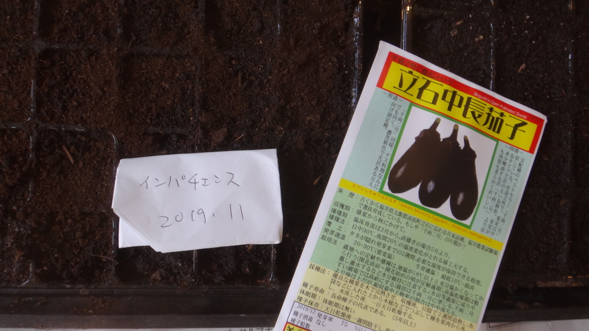 f:id:cafelegume:20200305143236j:plain