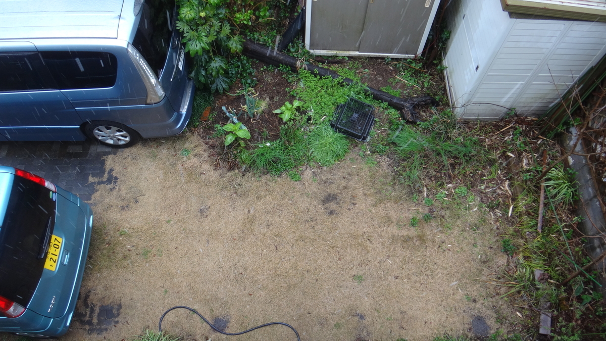 f:id:cafelegume:20200314150605j:plain