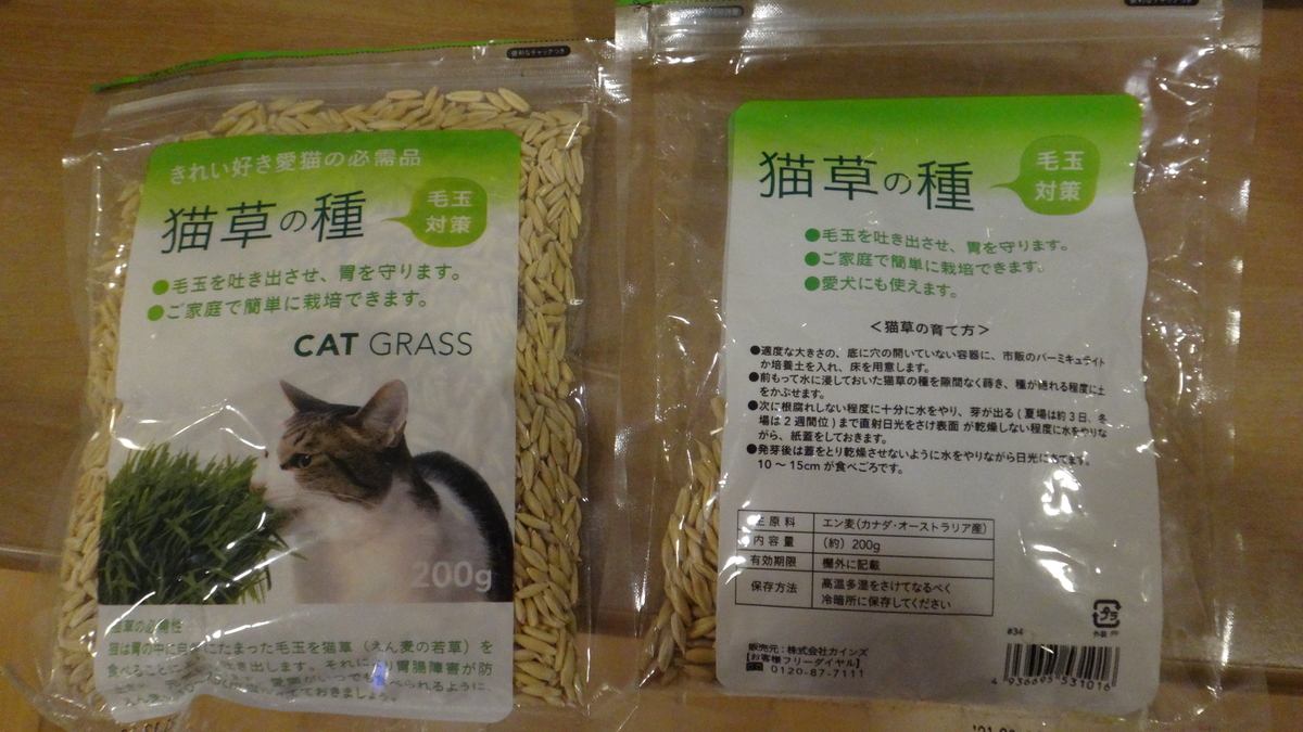 f:id:cafelegume:20200317002541j:plain