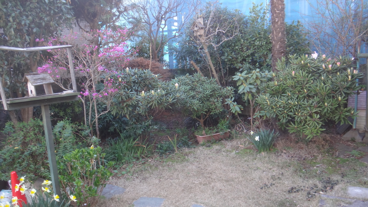 f:id:cafelegume:20200324204811j:plain f:id:cafelegume:20200324204811j:plain