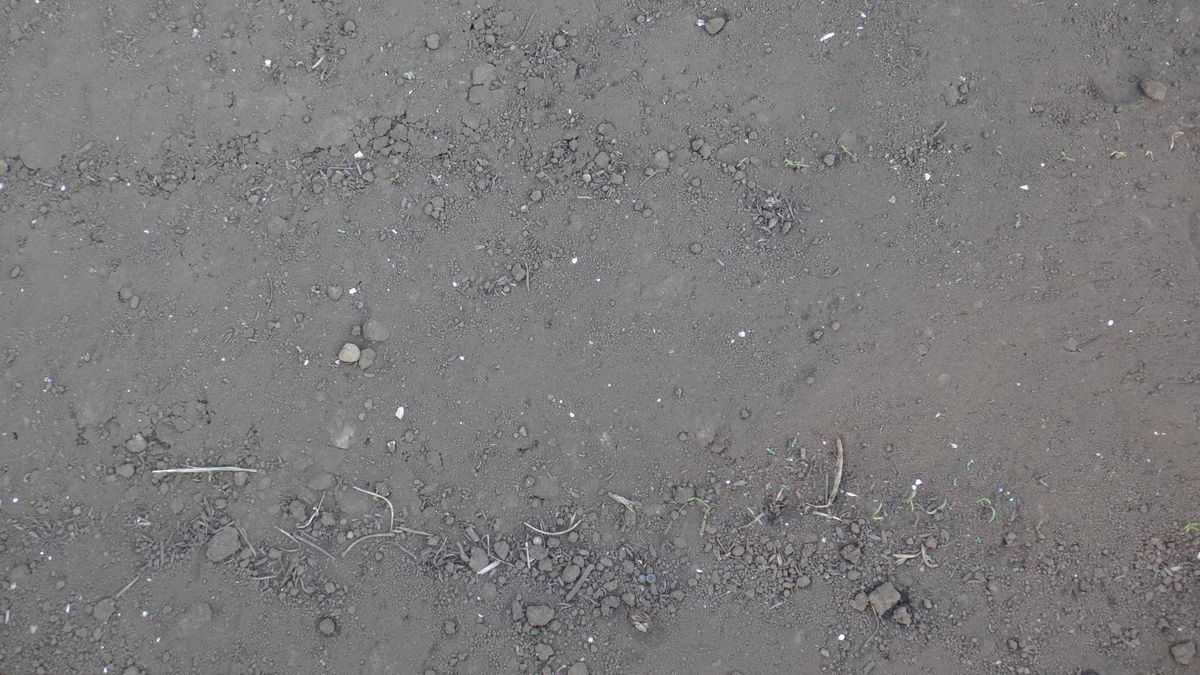 f:id:cafelegume:20200325221954j:plain