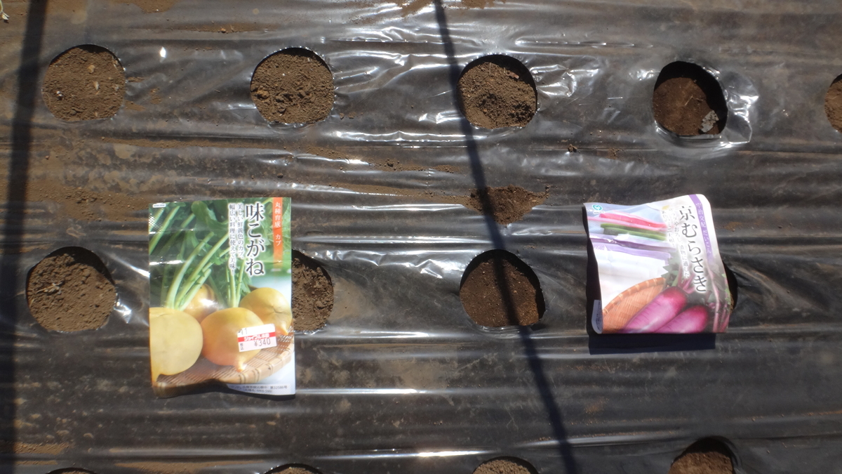 f:id:cafelegume:20200326224835j:plain f:id:cafelegume:20200326224835j:plain