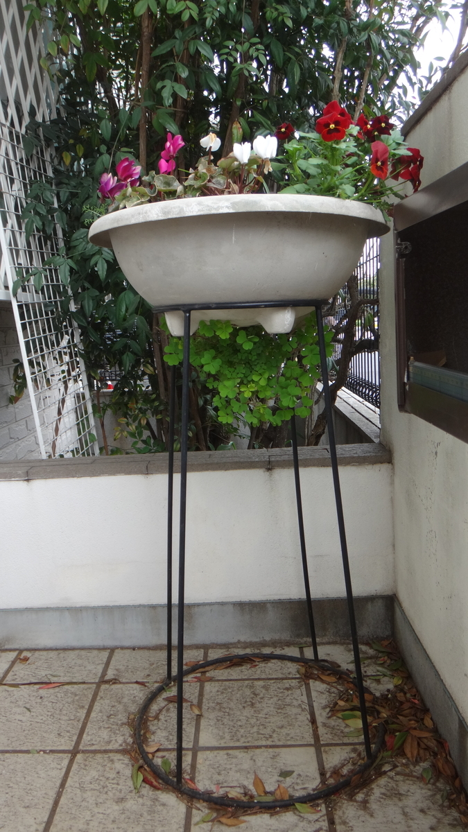 f:id:cafelegume:20200402210031j:plain f:id:cafelegume:20200402210031j:plain