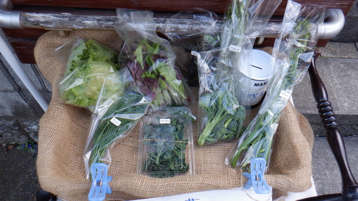 f:id:cafelegume:20200424224442j:plain f:id:cafelegume:20200424224442j:plain