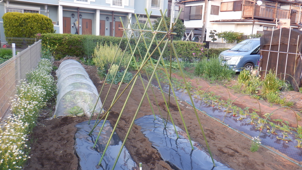 f:id:cafelegume:20200501231502j:plain f:id:cafelegume:20200501231502j:plain