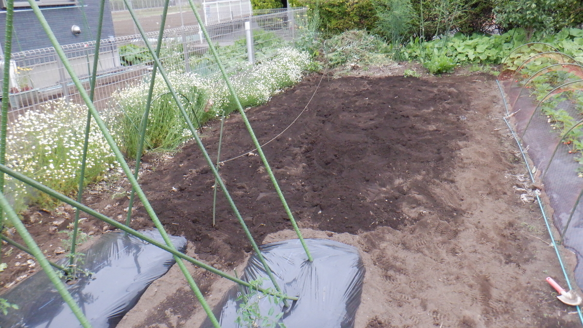 f:id:cafelegume:20200509215439j:plain f:id:cafelegume:20200509215439j:plain