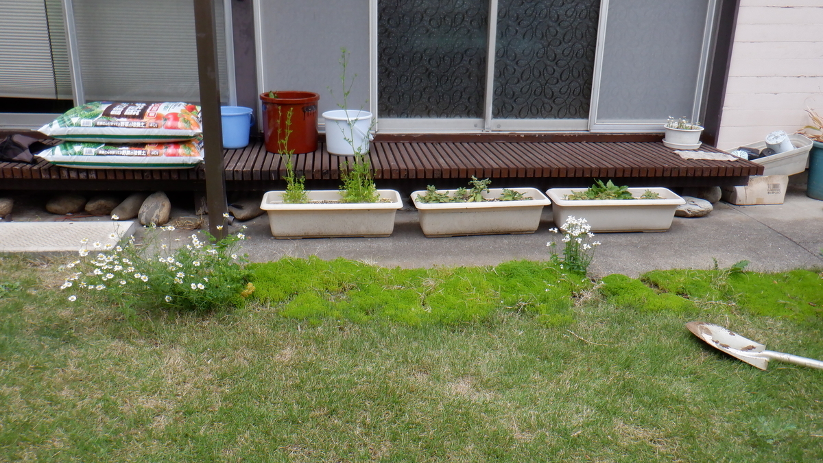 f:id:cafelegume:20200510215941j:plain f:id:cafelegume:20200510215941j:plain