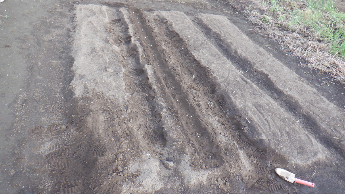 f:id:cafelegume:20200510222826j:plain f:id:cafelegume:20200510222826j:plain