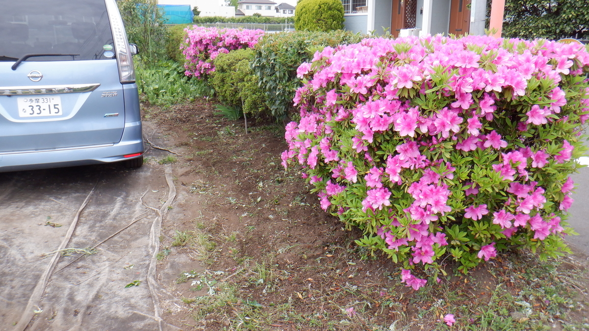 f:id:cafelegume:20200511220617j:plain